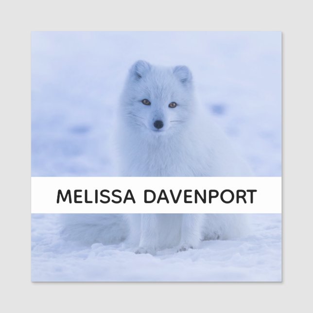 Cute Arctic Fox on Snowy Winter Background Namnbricka (Framsida)