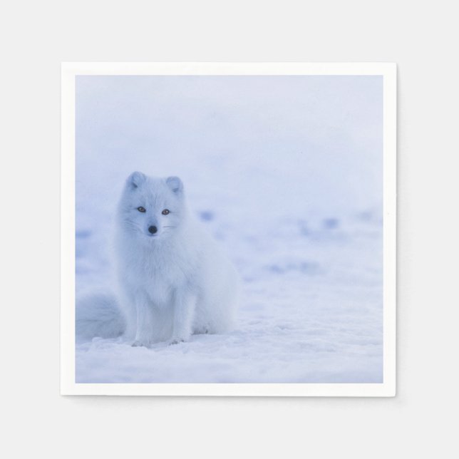 Cute Arctic Fox on Snowy Winter Background Pappersservett (Framsidan)