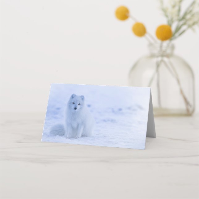 Cute Arctic Fox on Snowy Winter Background Placeringskort (Framsida)