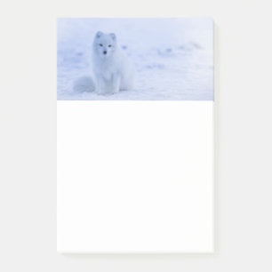 Cute Arctic Fox on Snowy Winter Background Post-it Block