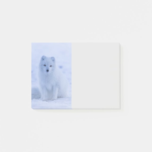 Cute Arctic Fox on Snowy Winter Background Post-it Block (Framsida)