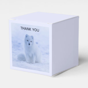 Cute Arctic Fox on Snowy Winter Background Presentaskar