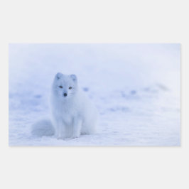 Cute Arctic Fox on Snowy Winter Background Rektangulärt Klistermärke