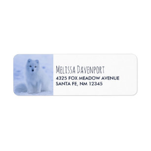 Cute Arctic Fox on Snowy Winter Background Returadress Etikett