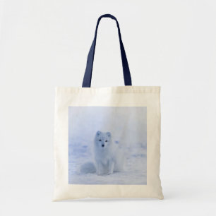 Cute Arctic Fox on Snowy Winter Background Tygkasse