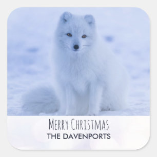 Cute Arctic Fox på Snö God jul Fyrkantigt Klistermärke