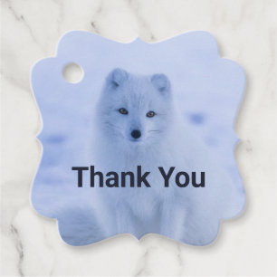 Cute Arctic Fox på Snö Tack Gåvor Etiketter
