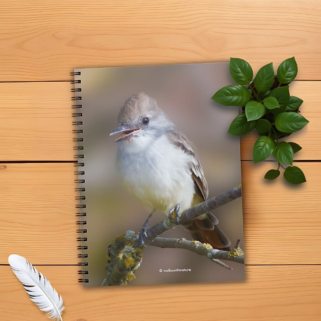 Cute Ash-Throated Flycatcher Songbird på Gren Anteckningsbok (WWN Ash-Throated Flycatcher on Branch Notebook Cover Photo)