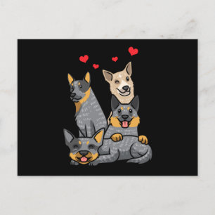 Cute Australian Cattle Hund Heeler Vykort