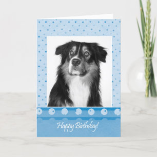 Cute Australian shepherd Hund Grattis på födelseda Kort