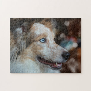 Cute Australian shepherd Hund Porträtt Pussel