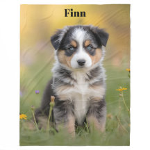 Cute Australian shepherd Personlig