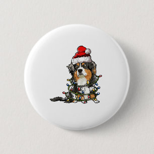 Cute Australian shepherd Santa Julgran Ligh Knapp