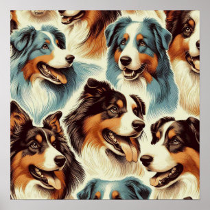 Cute Australian shepherd sjölös Poster