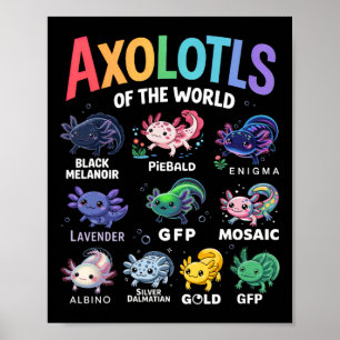 Cute Axolotls of the World Kawaii Axolotl Cute Art Poster