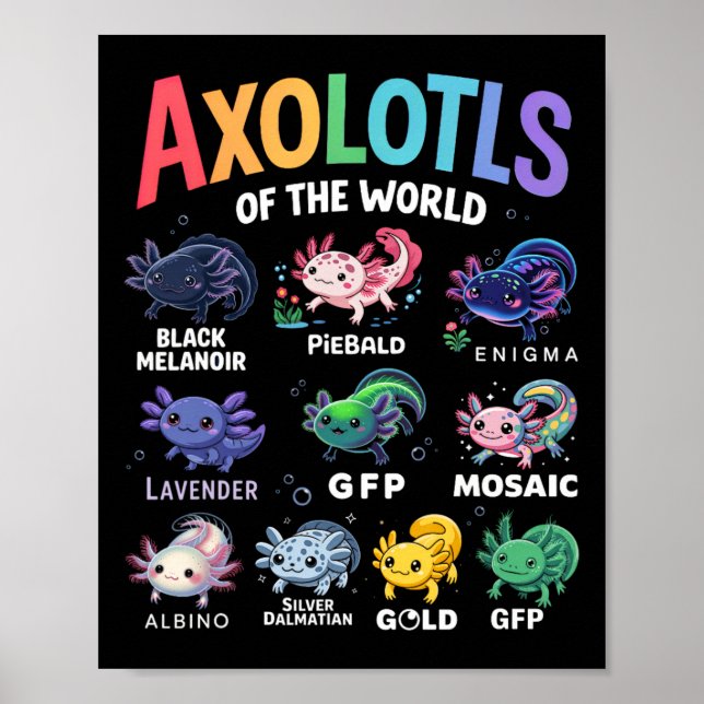 Cute Axolotls of the World Kawaii Axolotl Cute Art Poster (Framsidan)