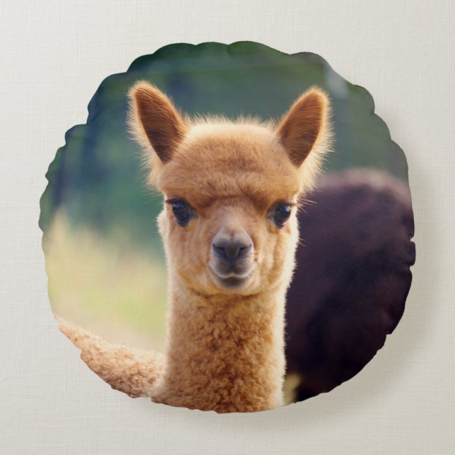 Cute Baby Alpaca Round Pillow Rund Kudde (Framsidan)