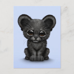 Cute Baby Black Panther Unge på Blue Vykort