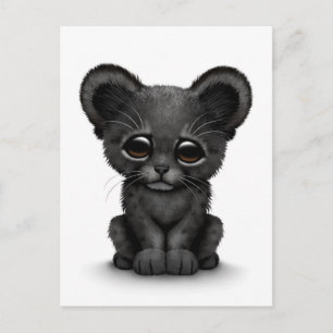Cute Baby Black Panther Unge på White Vykort