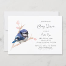 Cute Baby blue Jay Shower