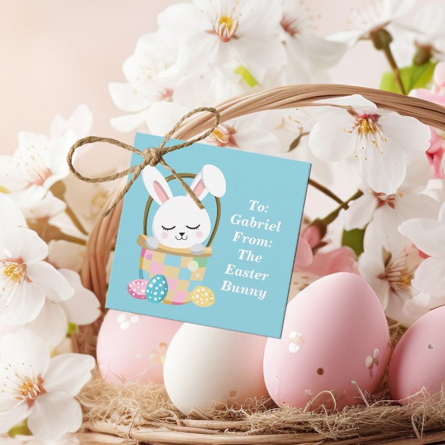 Cute Baby blue Påskhare Anpassad Party Gåvor Etiketter (Skapare uppladdad)