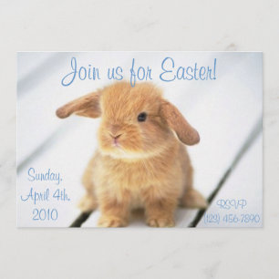 Cute Baby Bunny Easter-inbjudningar Inbjudningar