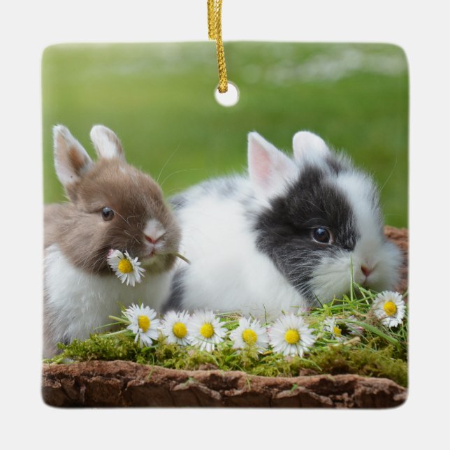 Cute Baby Bunny-kaniner med blommor Julgransprydnad Keramik (Framsida)