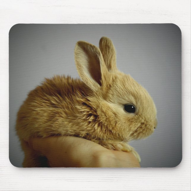 Cute Baby Bunny Rabbit i Hand Musmatta (Framsidan)