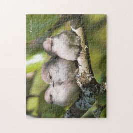Cute Baby Bushtit Songbird i Pear Träd Pussel