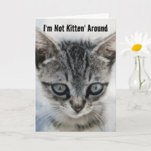 Cute Baby Cat Kitten Roligt Pun Birthday Card Kort