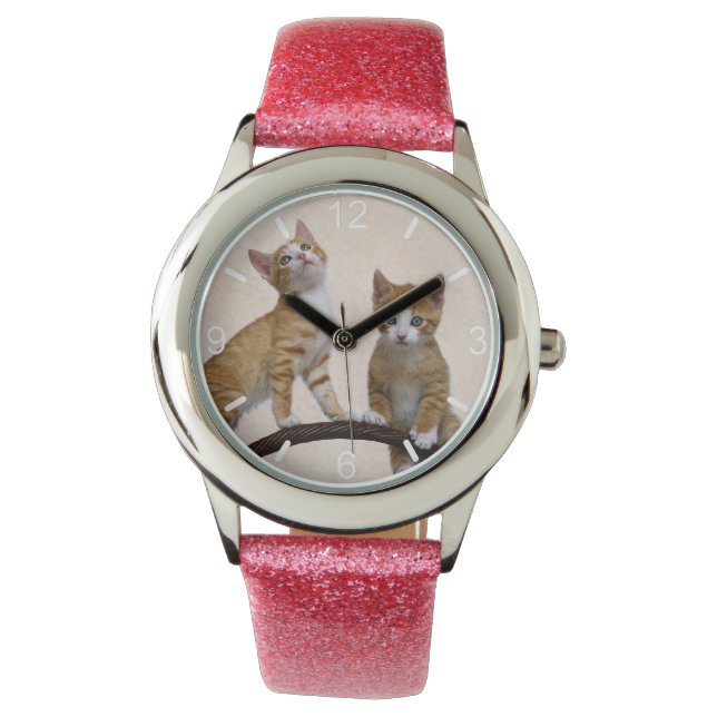 Cute Baby Cats Kittens Funny Gym Fotoskylt Armbandsur (Framsida)