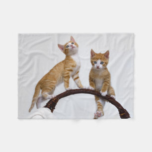 Cute Baby Cats Kittens Funny Gym Photo - Fleecefilt