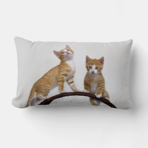 Cute Baby Cats Kittens Funny Gym Photo - Throw Lumbarkudde