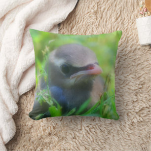 Cute Baby Cedar Waxwing Bird Kudde