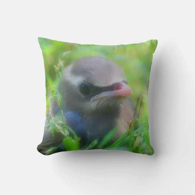 Cute Baby Cedar Waxwing Bird  Kudde (Framsida)