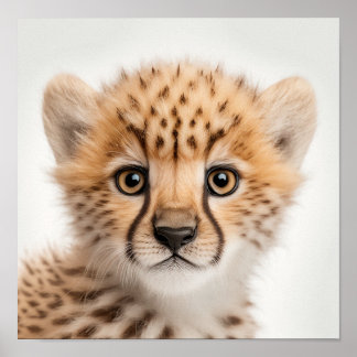 Cute Baby Cheetah Porträtt | Fyrkant 1:1 Poster