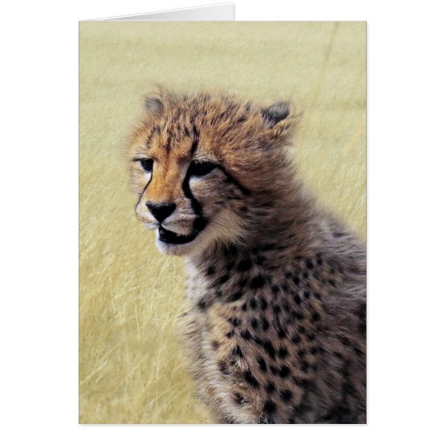 Cute baby Cheetah Unge Hälsningskort (Framsidan)