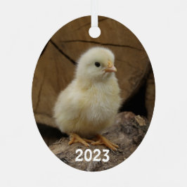 Cute Baby Chick Julgransdekoration