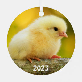 Cute Baby Chick Julgransdekoration
