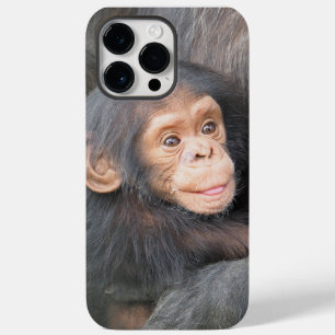 Cute Baby Chimpanzee Photo
