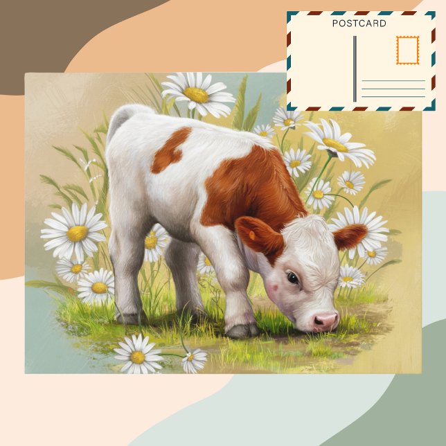 Cute Baby Cow i fält i Daisy Flowers Vykort (Skapare uppladdad)