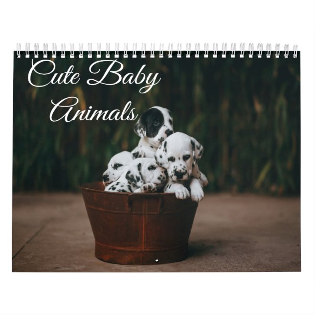 Cute Baby djur Calendar Kalender (Omslag)
