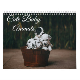 Cute Baby djur Calendar Kalender