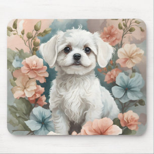 Cute Baby djur Cute White Maltese Puppy Musmatta