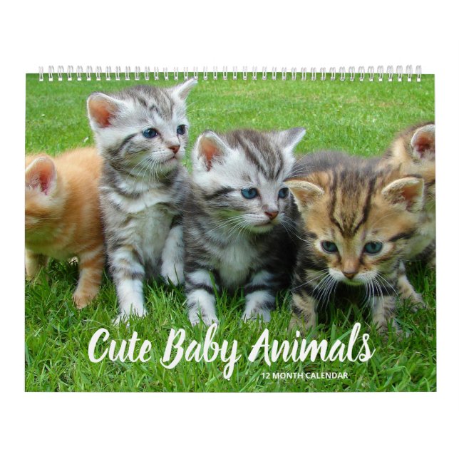 Cute Baby djur Kalender (Omslag)