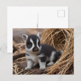 Cute Baby djur, postkorsning Vykort