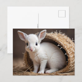 Cute Baby djur, postkorsning Vykort