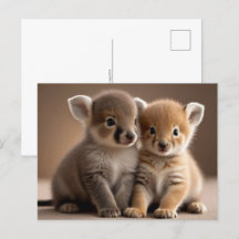 Cute Baby djur, postkorsning