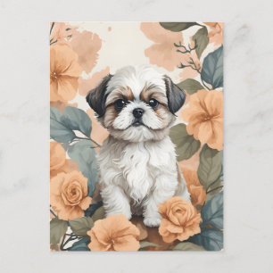 Cute Baby djur - Shih Tzu Puppy Vykort