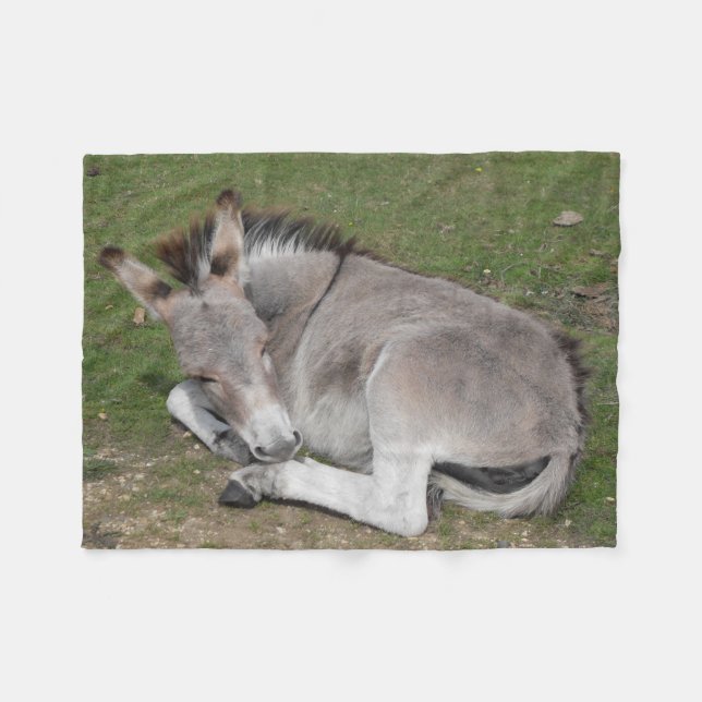 Cute Baby Donkey Foal Fleecefilt (Framsidan (Horisontell))